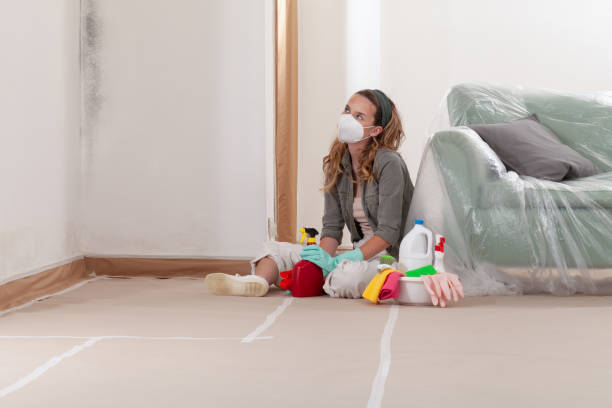 Reliable Mold Remediation contractor in Jersey City, NJ by Car Mold Remediation